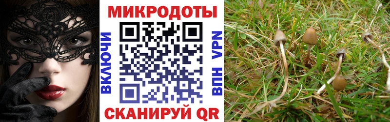 Галлюциногенные грибы прущие грибы  Купить закладки  Тетюши 